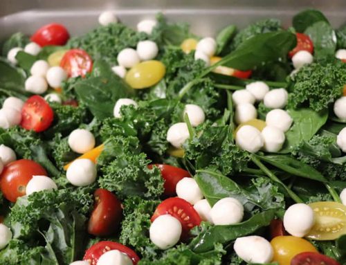 Salad with Mozzarella